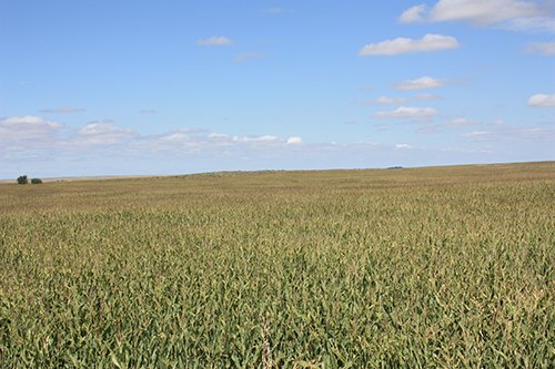 Property photo 79 - LAND AUCTION, 3255+/- Acres offered in 13 Tracts